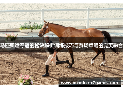 马匹奥运夺冠的秘诀解析训练技巧与赛场策略的完美融合